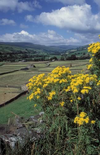 Farm Images